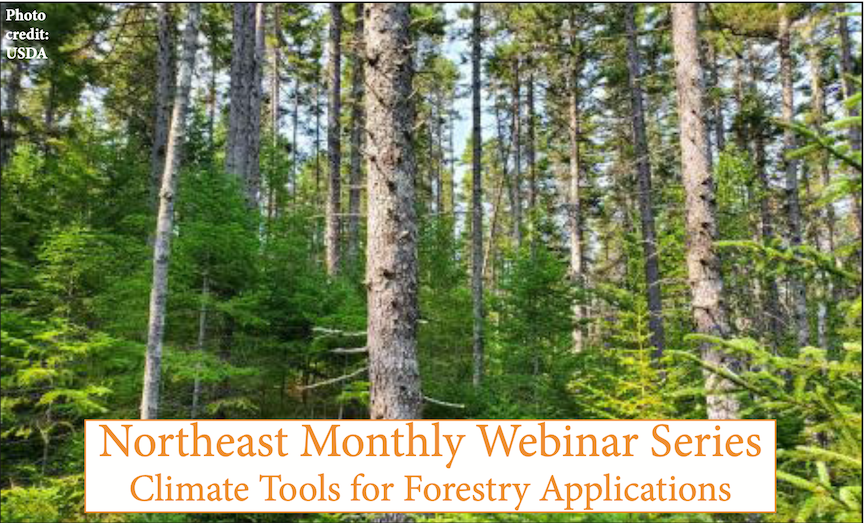 Webinar title slide