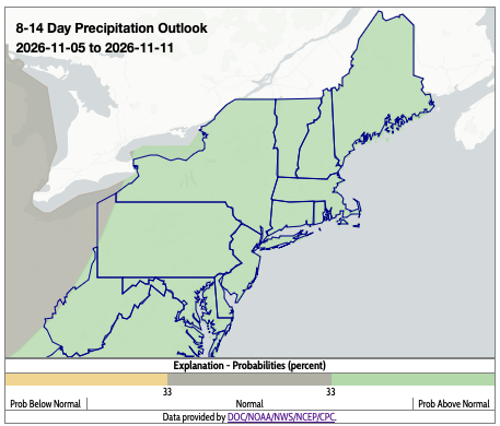 precip outlook
